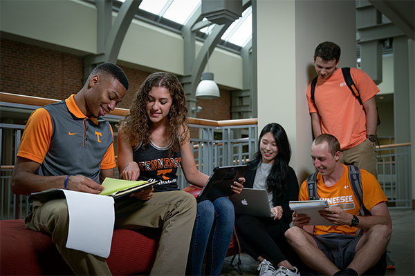 Students studying in common area