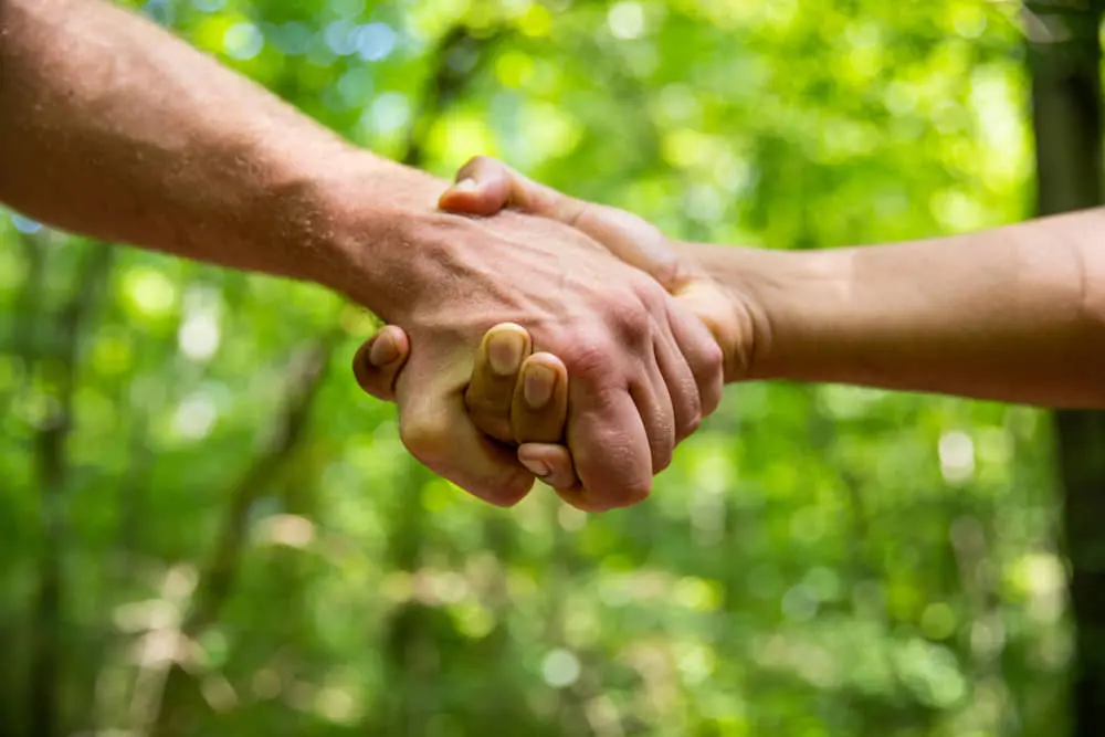 Holding hands in the woods