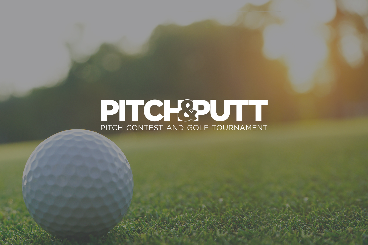 Pitch and Putt golf ball and text