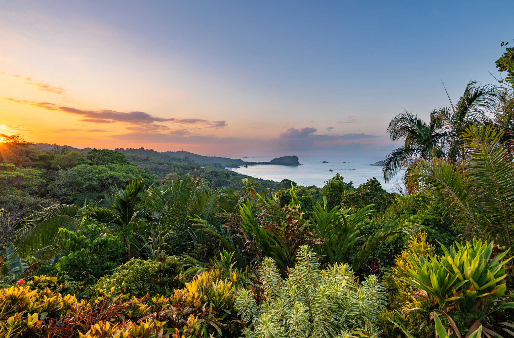 landscape scenery with lots of trees