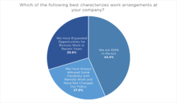 Figure showing what respondents believe best characterize work arrangements at their companies