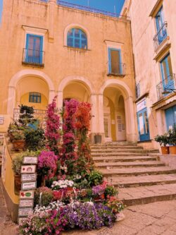 Stone steps climbing to old stone two-story building with beautiful blooming purple and pink plants on the let