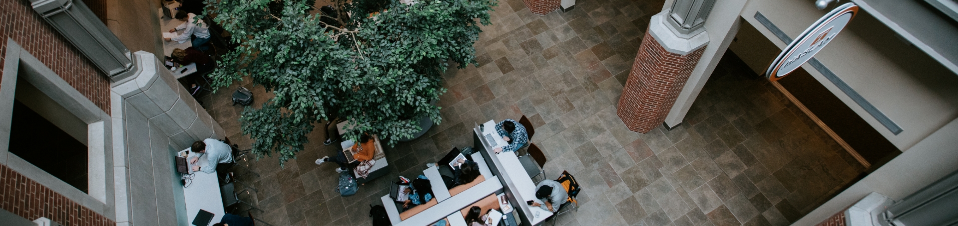 Haslam Atrium From Top