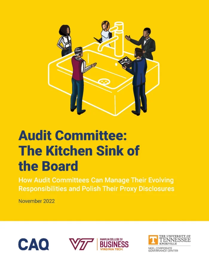 Audit Committee: The Kitchen Sink of the Board, 2022 cover